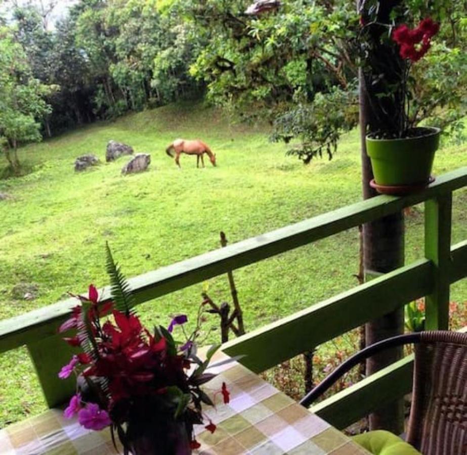 Mindo Eco Chalet Con Rio Y Cascada Экстерьер фото