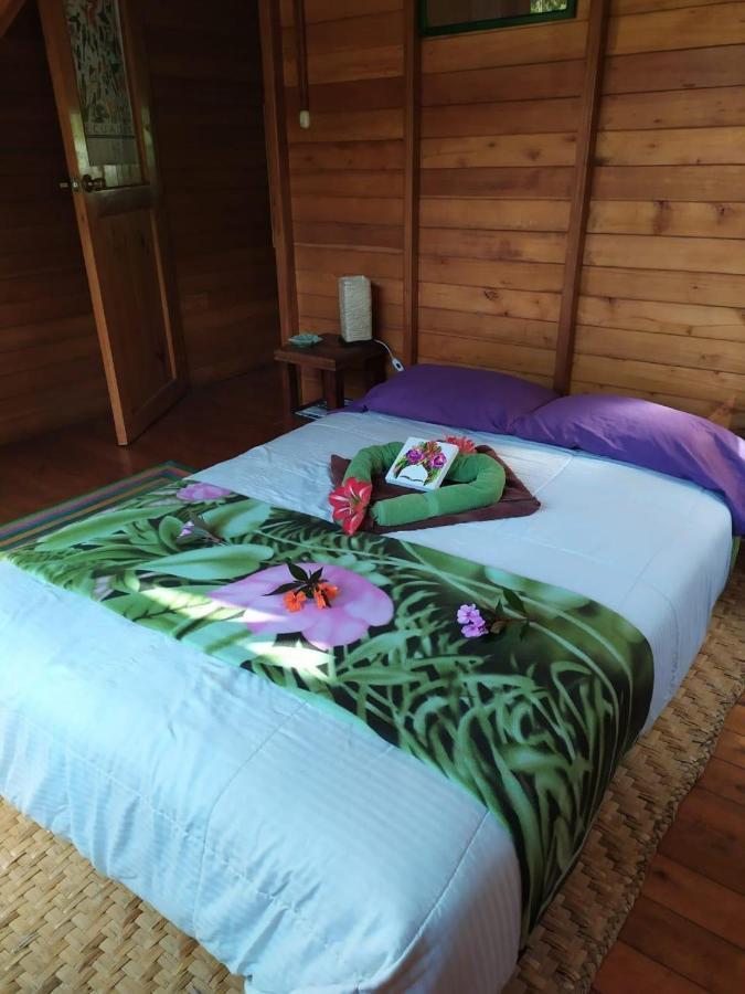 Mindo Eco Chalet Con Rio Y Cascada Экстерьер фото