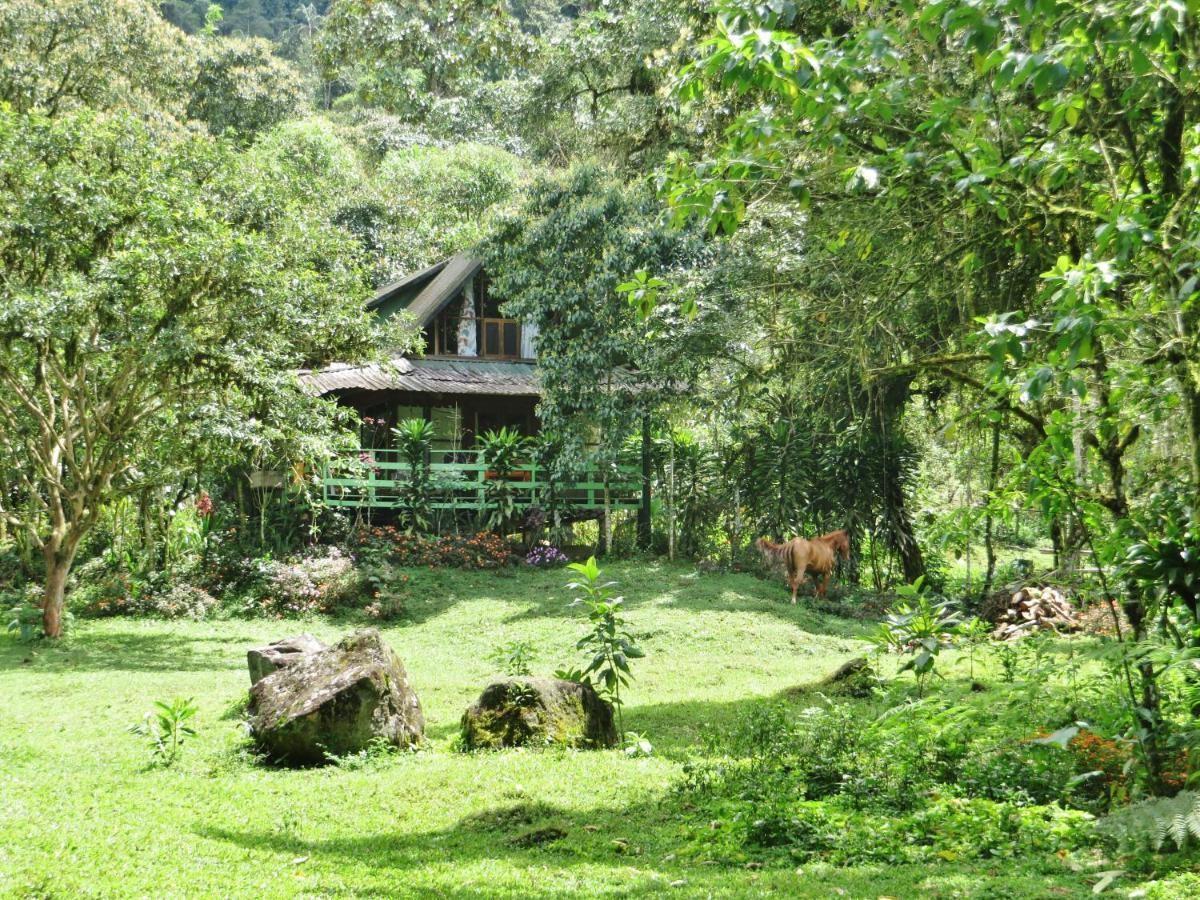 Mindo Eco Chalet Con Rio Y Cascada Экстерьер фото